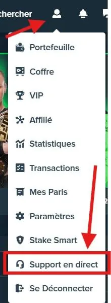 Ouvrir le menu du compte Stake puis cliquer sur Support en direct